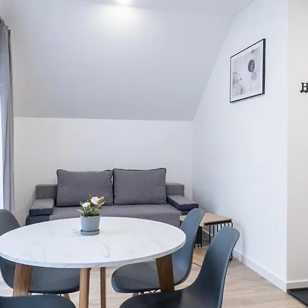 公寓 Aspen 卡尔帕奇